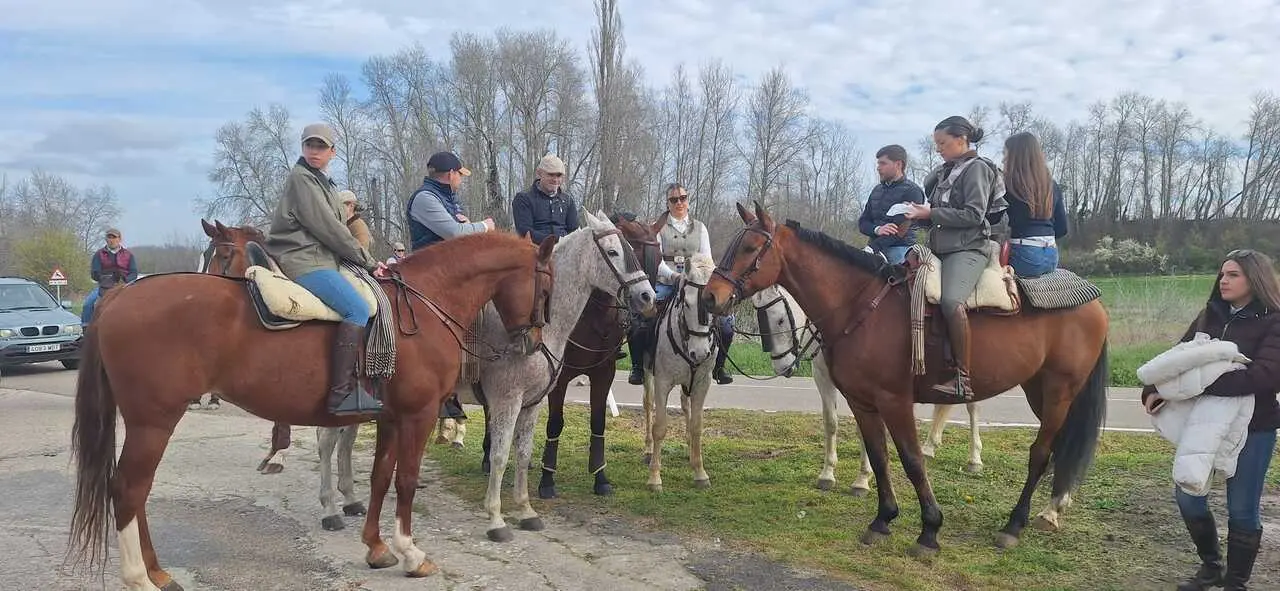 Camino Flamenco Morales del Vino (14)