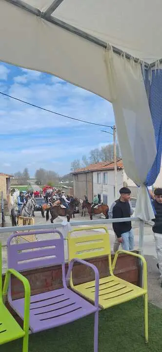 Camino Flamenco Morales del Vino (19)