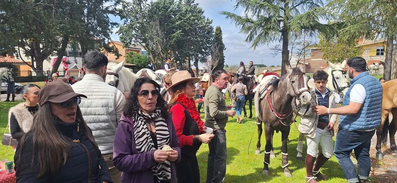 Camino Flamenco Morales del Vino (28)