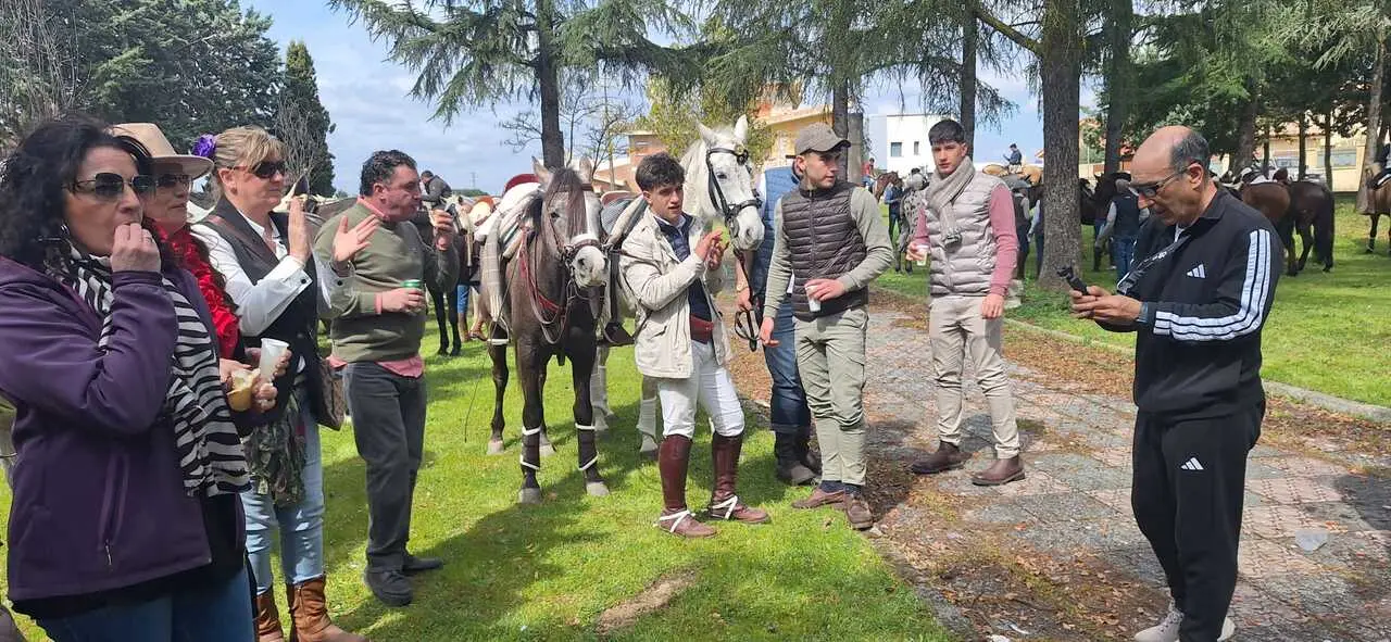 Camino Flamenco Morales del Vino (29)
