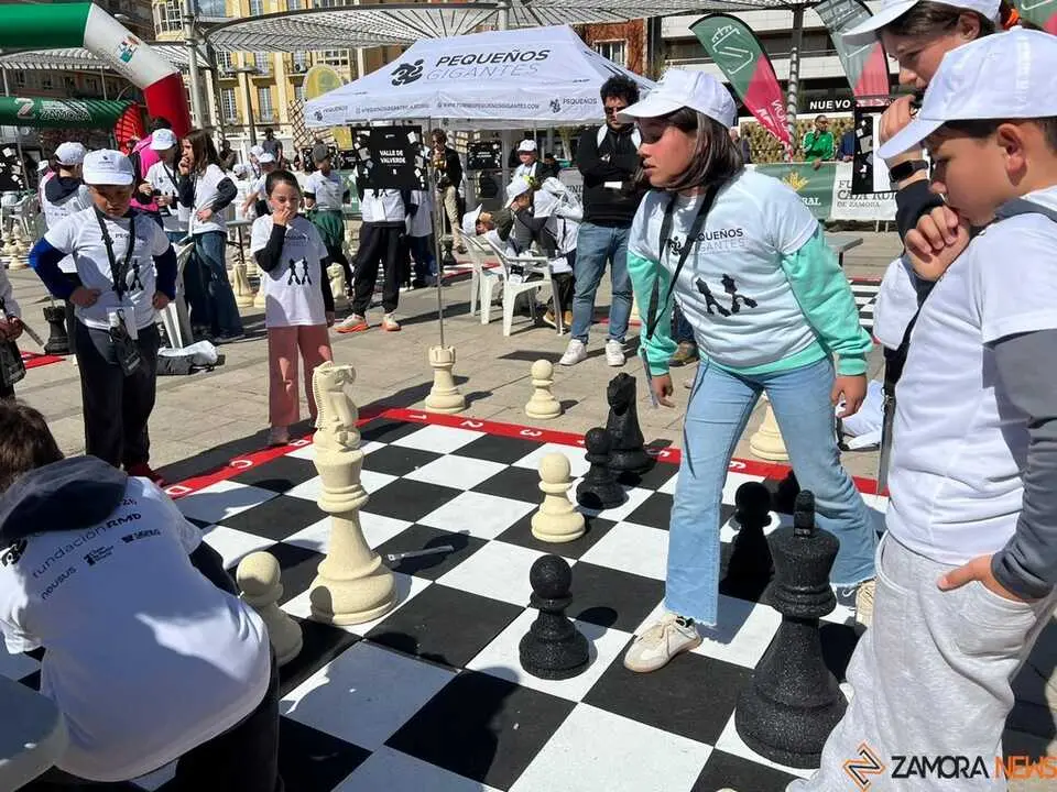 Peque&ntilde;os Gigantes Ajedrez Zamora _7