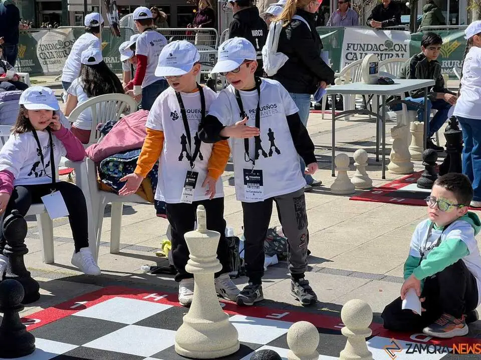 Peque&ntilde;os Gigantes Ajedrez Zamora _8