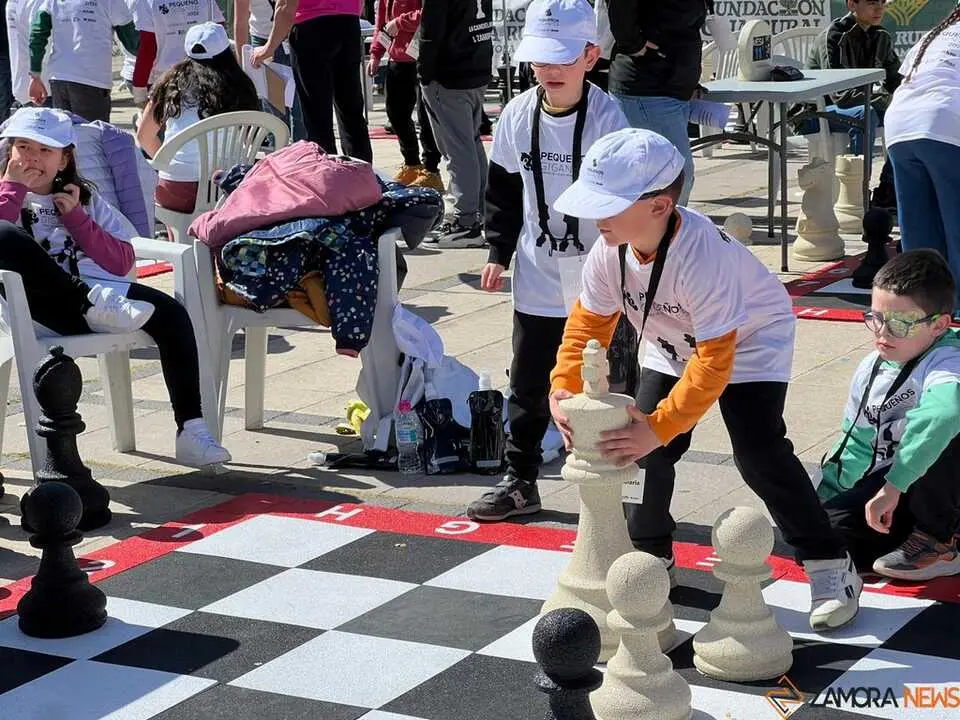 Peque&ntilde;os Gigantes Ajedrez Zamora _10