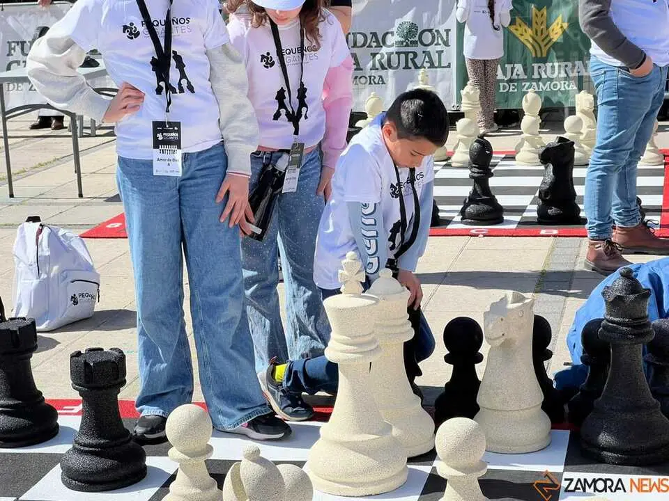 Peque&ntilde;os Gigantes Ajedrez Zamora _11