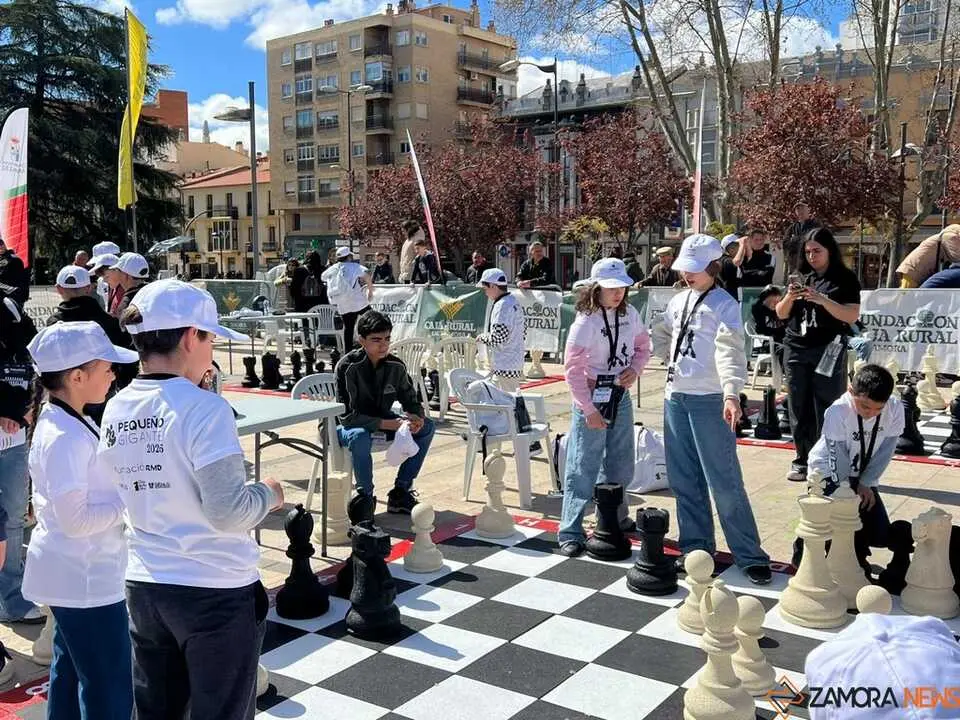 Peque&ntilde;os Gigantes Ajedrez Zamora _12