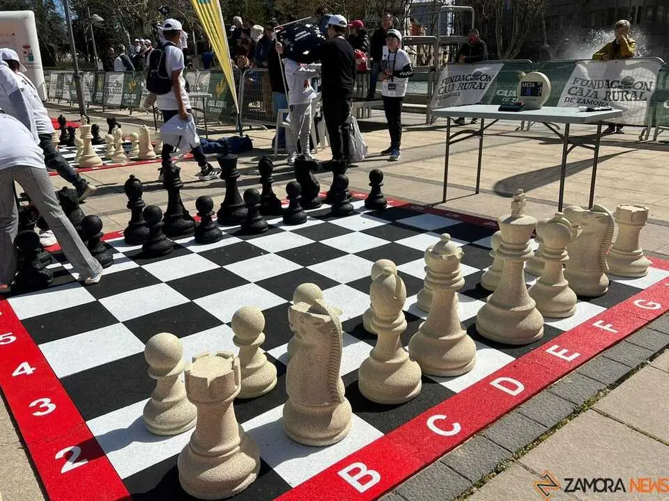 Peque&ntilde;os Gigantes Ajedrez Zamora _13
