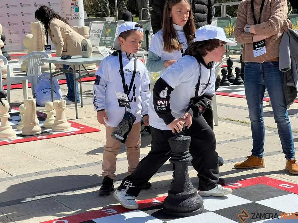 Peque&ntilde;os Gigantes Ajedrez Zamora _14