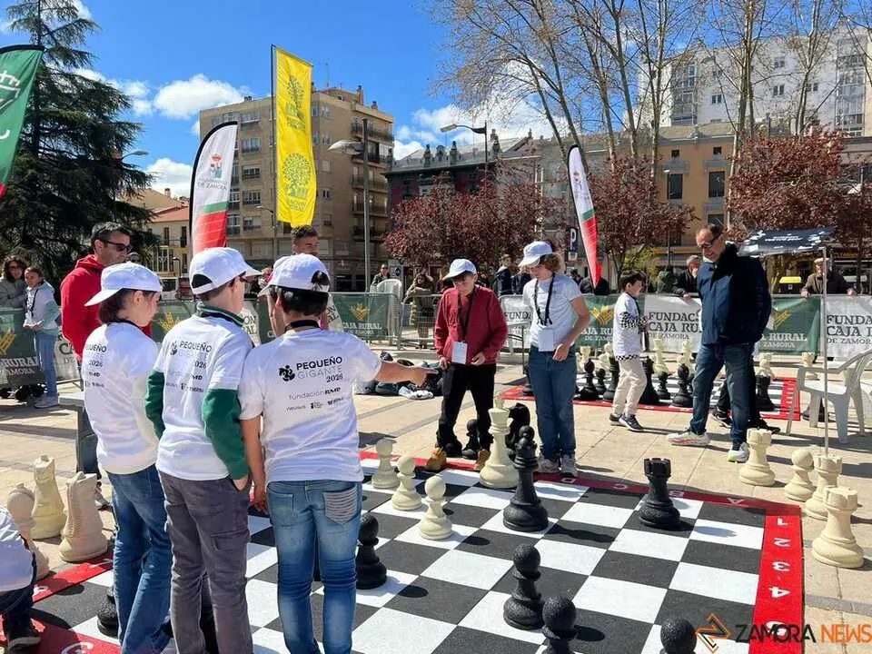 Peque&ntilde;os Gigantes Ajedrez Zamora _17