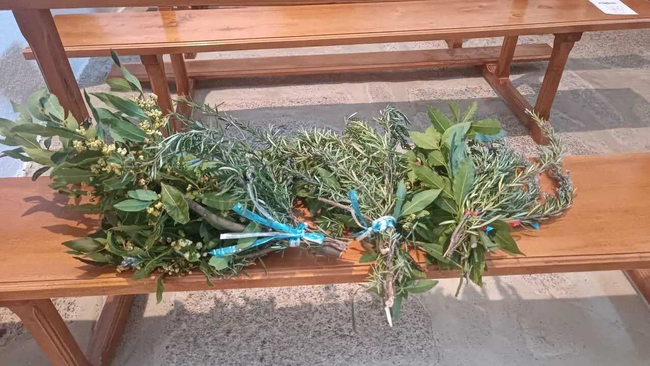 Ramos de laurel y romero  Castro Alca&ntilde;ices