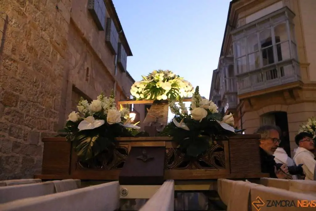 Luz y Vida Zamora _6