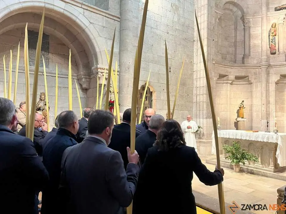 Bendici&oacute;n de palmas Obispo 
