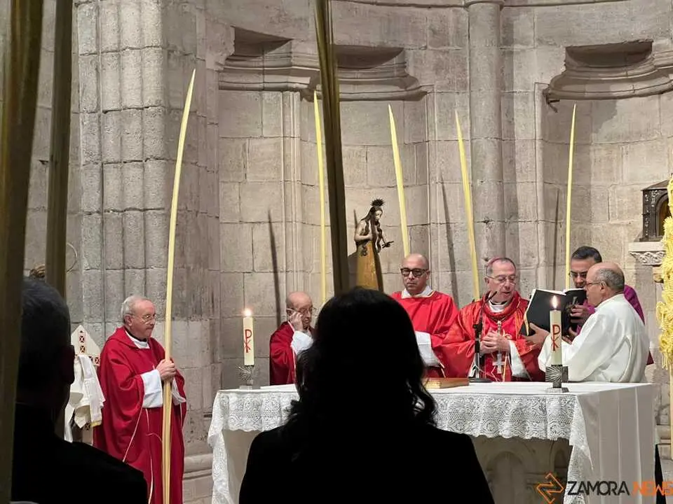 Bendici&oacute;n de palmas Obispo _2