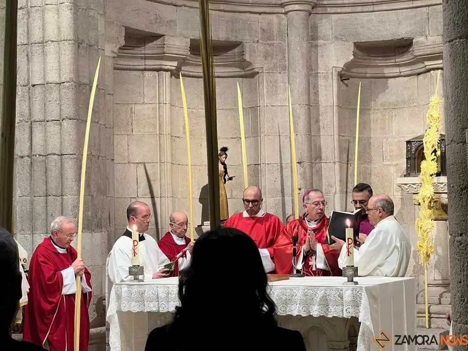 Bendici&oacute;n de palmas Obispo _3