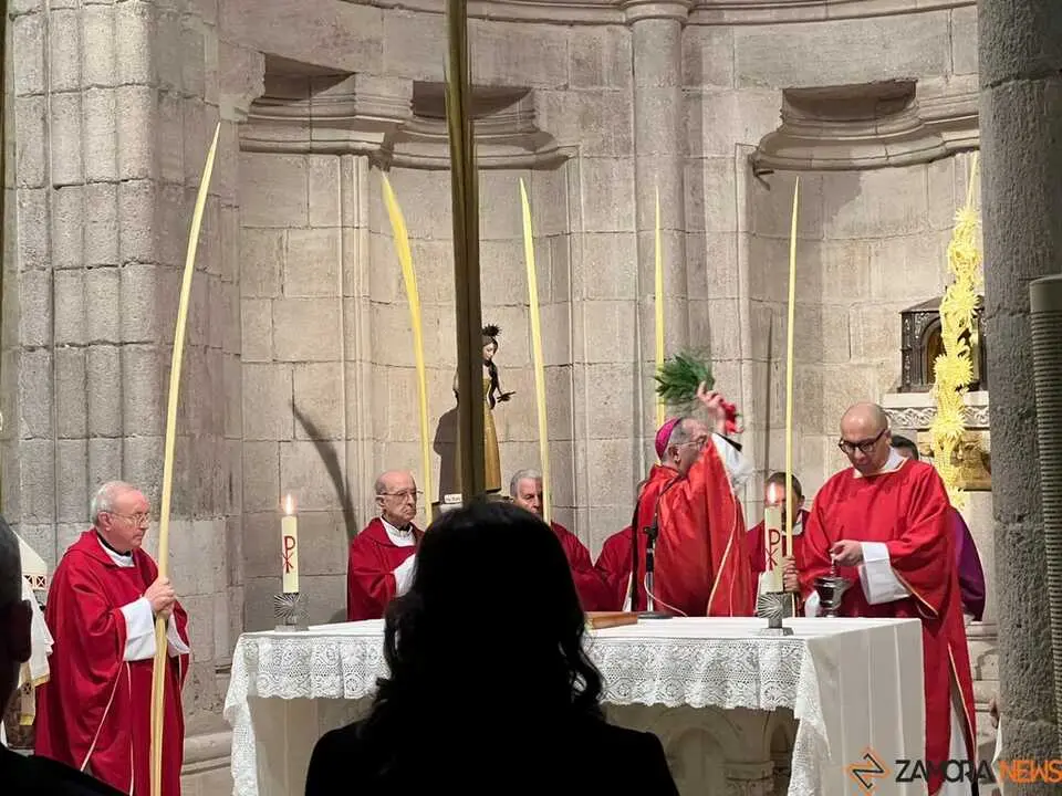 Bendici&oacute;n de palmas Obispo _4