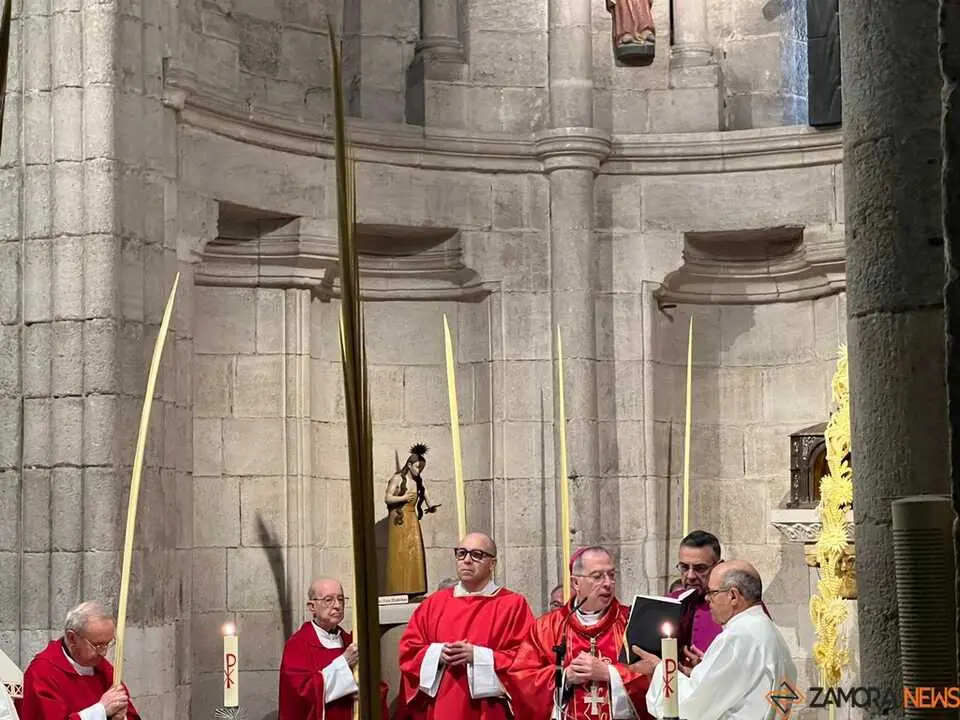 Bendici&oacute;n de palmas Obispo _5