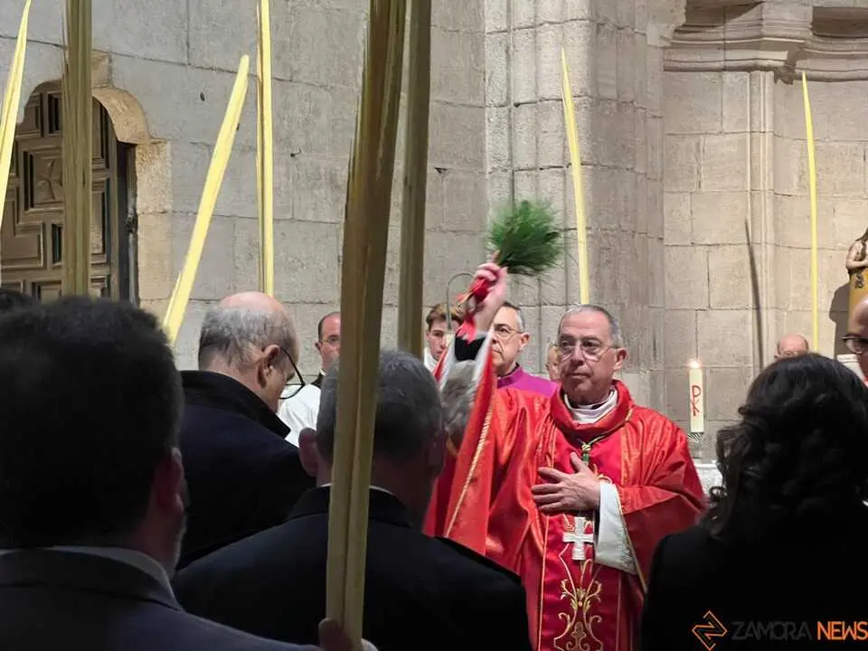 Bendici&oacute;n de palmas Obispo _6