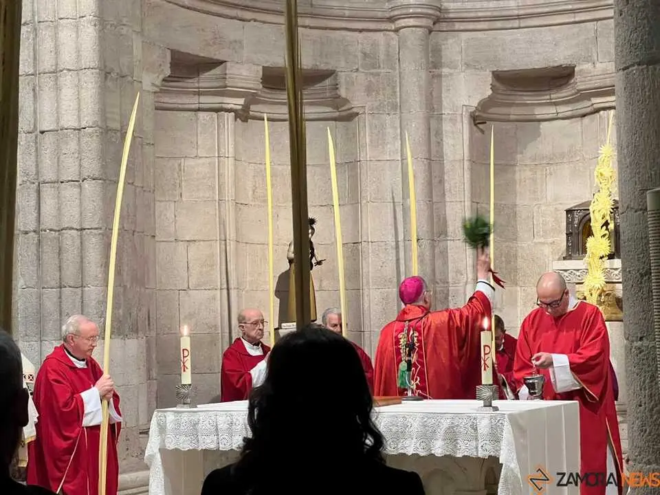 Bendici&oacute;n de palmas Obispo _7
