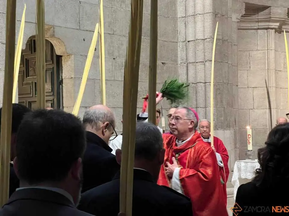 Bendici&oacute;n de palmas Obispo _8