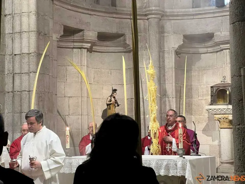 Bendici&oacute;n de palmas Obispo _9