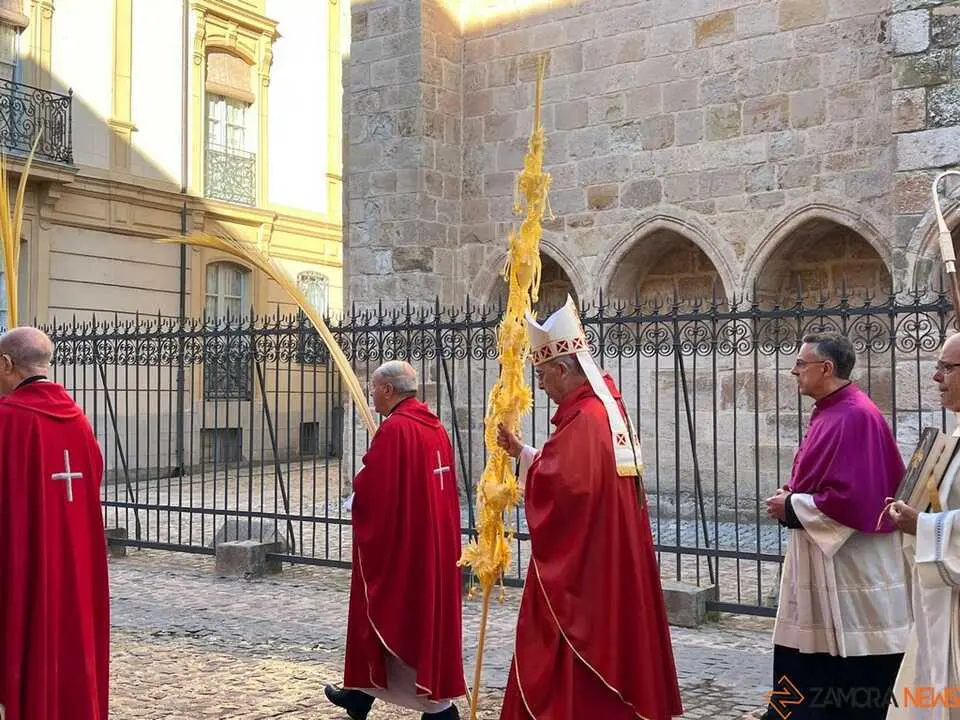 Bendici&oacute;n de palmas Obispo _31