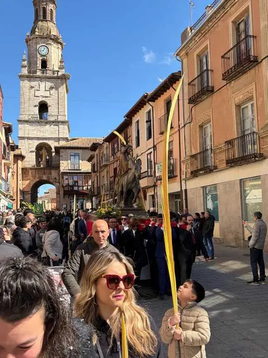 Toro borriquita
2026