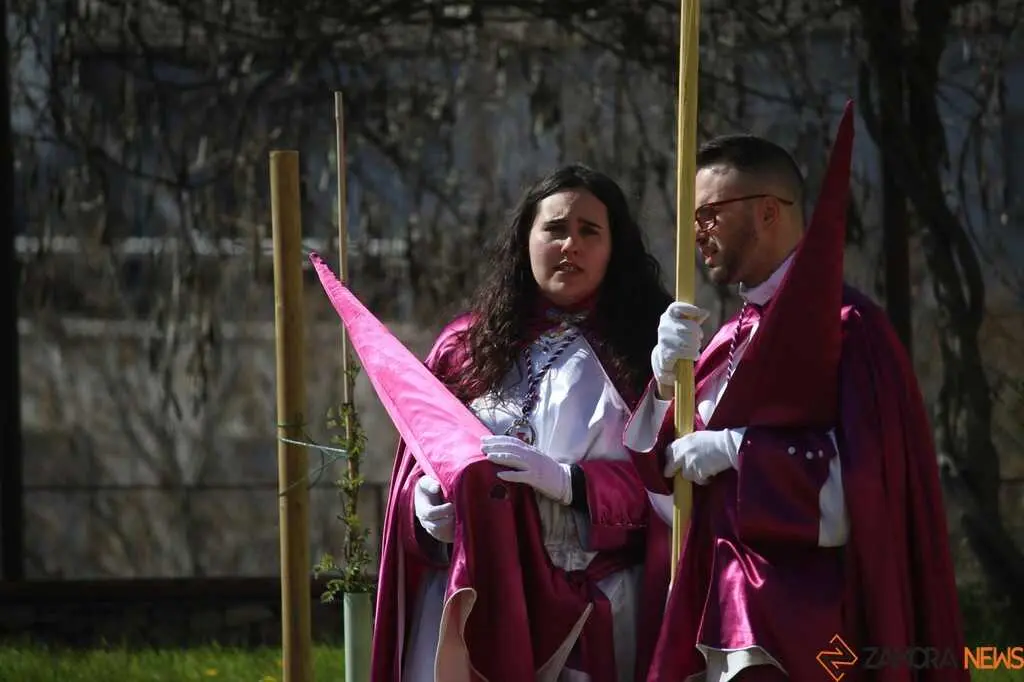 La Borriquita Zamora_4