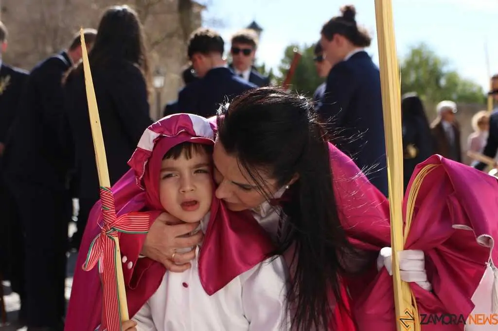 La Borriquita Zamora_9