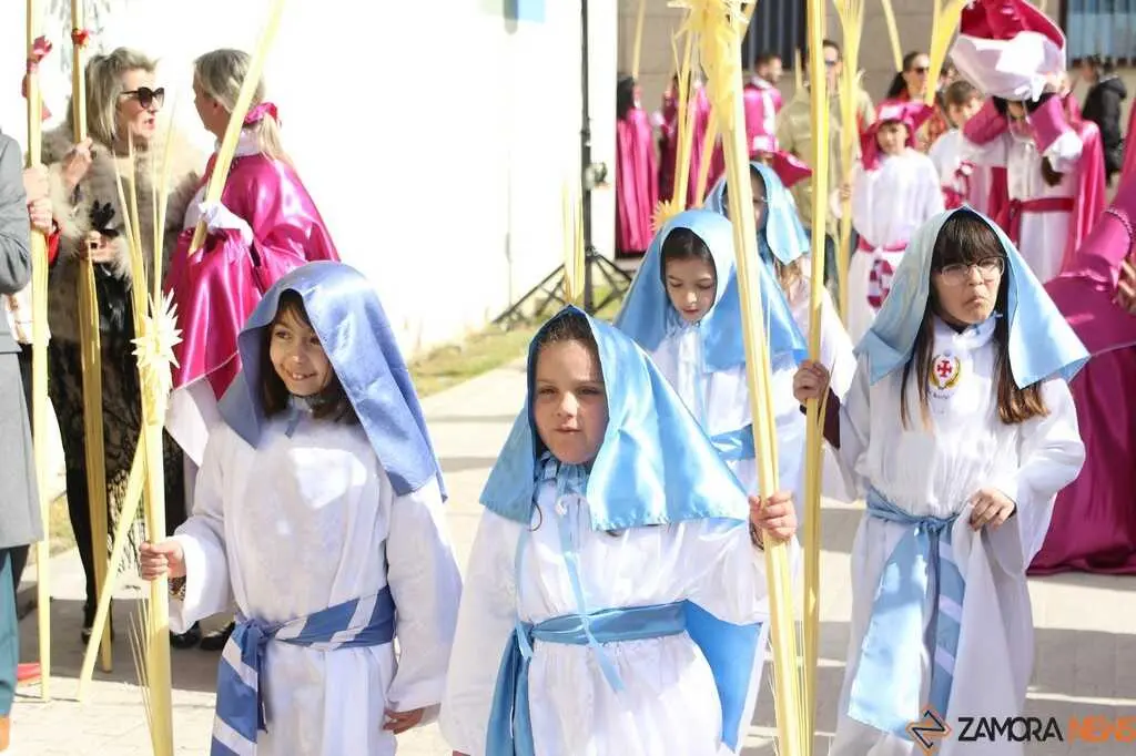 La Borriquita Zamora_10