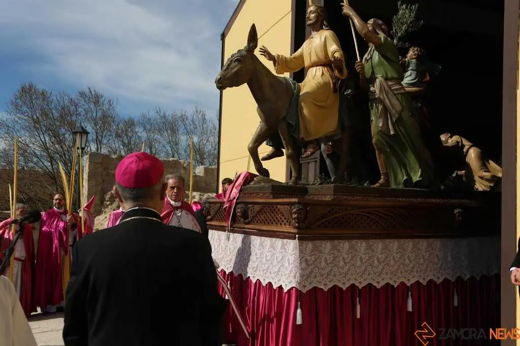 La Borriquita Zamora_13