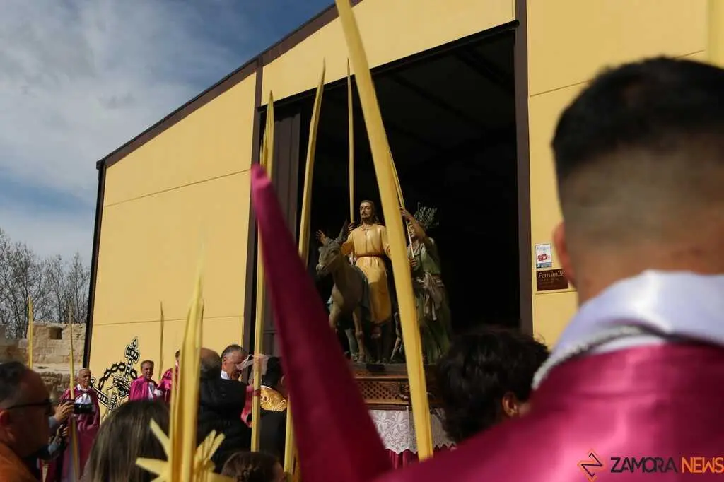 La Borriquita Zamora_14