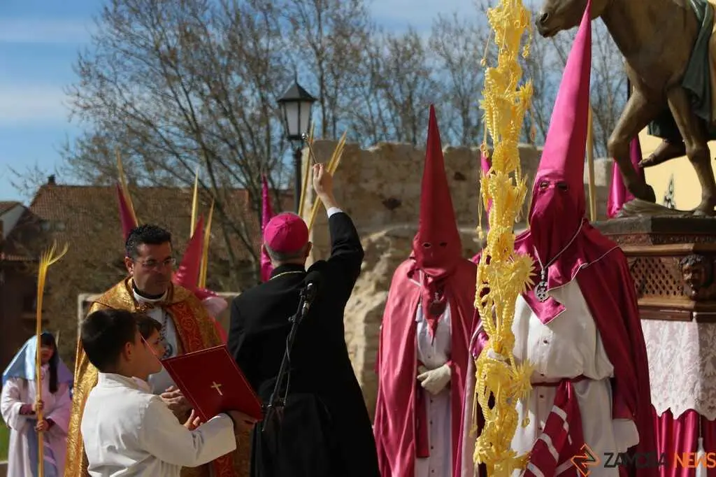 La Borriquita Zamora_20