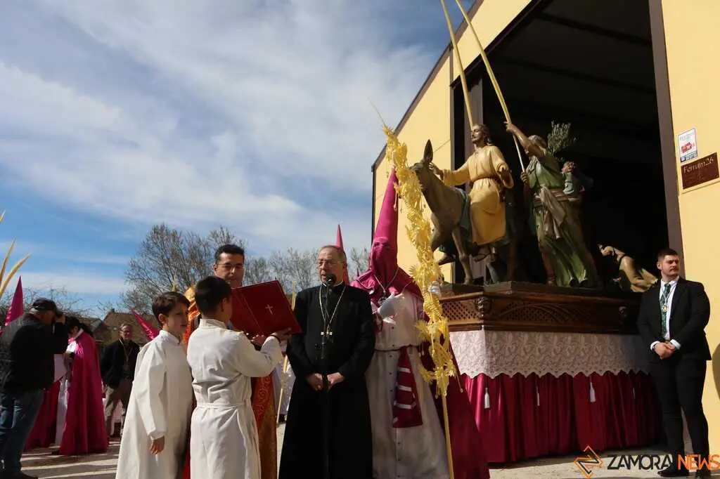 La Borriquita Zamora_22