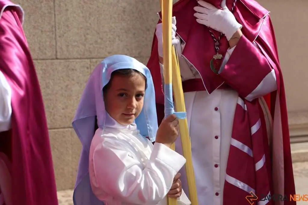 La Borriquita Zamora_24