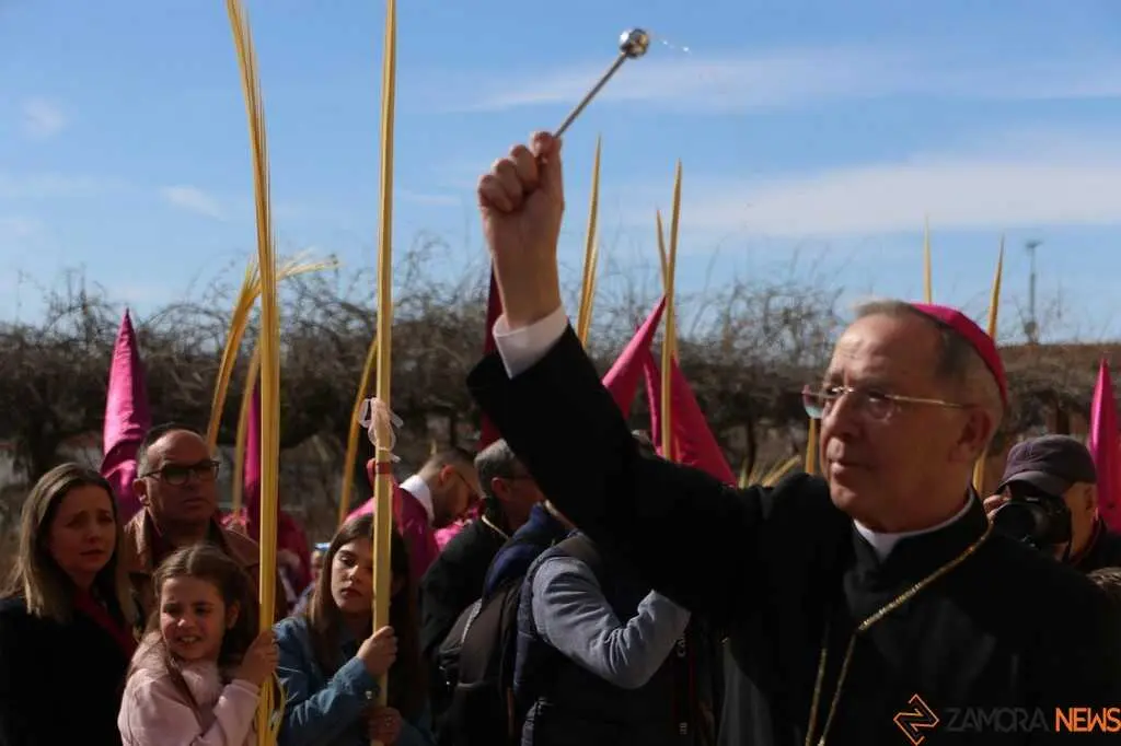 La Borriquita Zamora_25