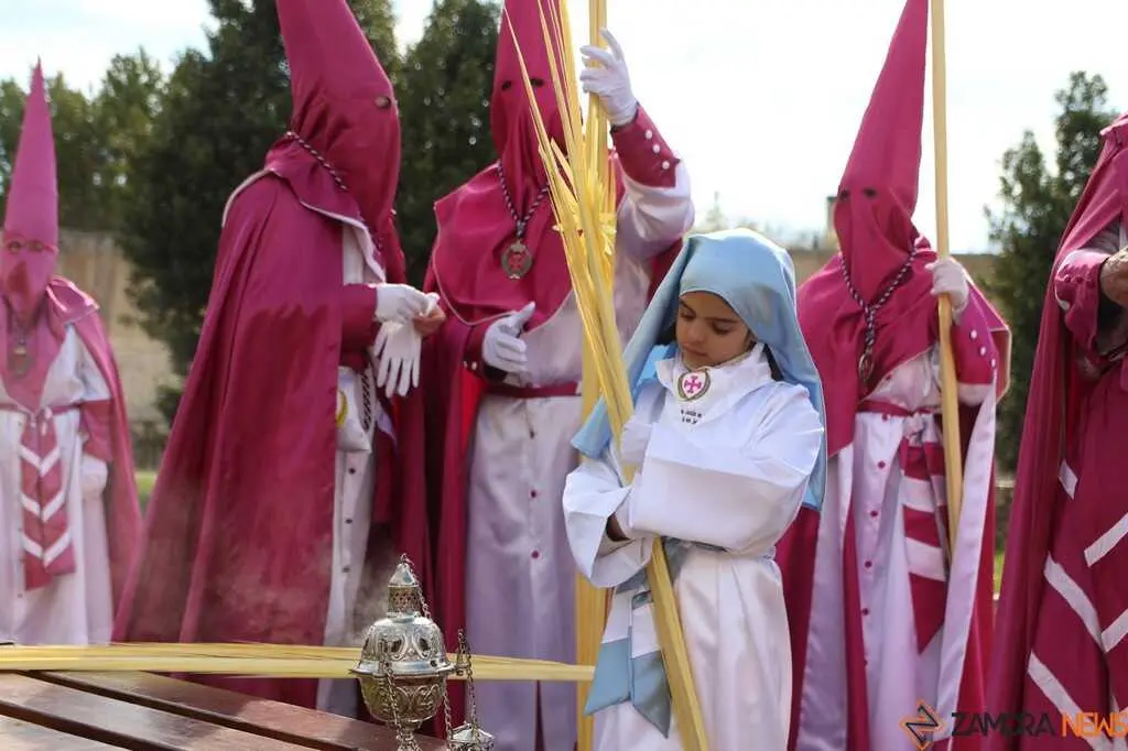 La Borriquita Zamora_27