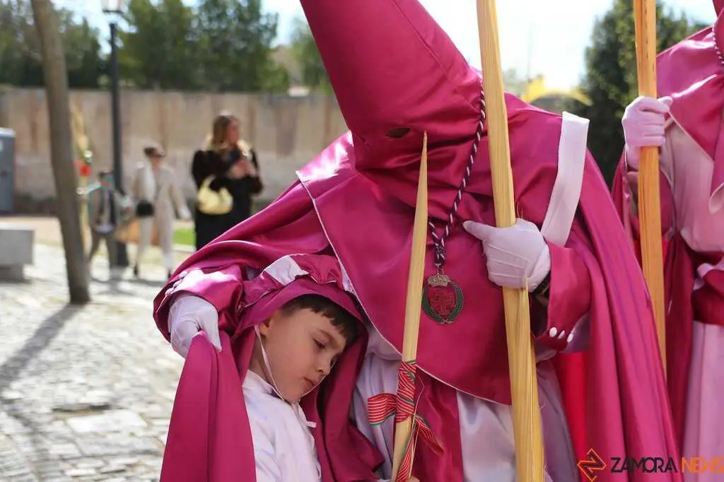 La Borriquita Zamora_26