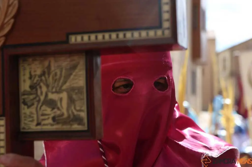 La Borriquita Zamora_28