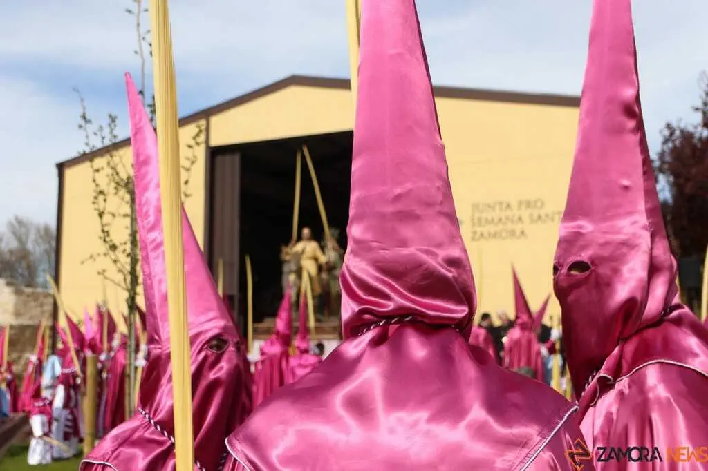 La Borriquita Zamora_31