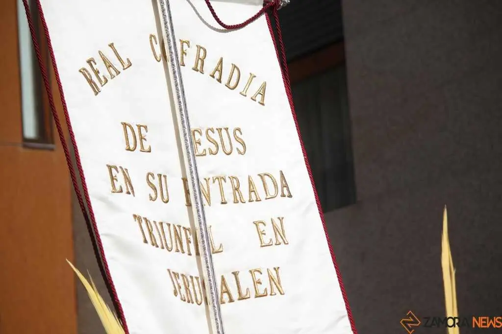 La Borriquita Zamora_32