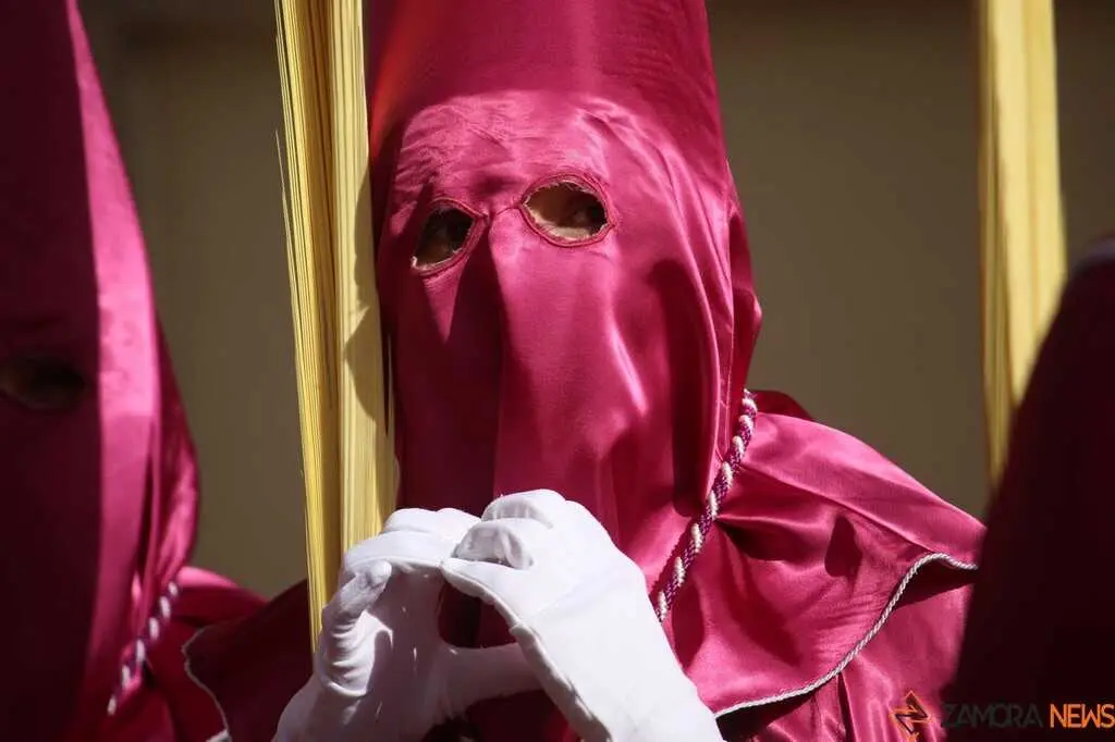 La Borriquita Zamora_34