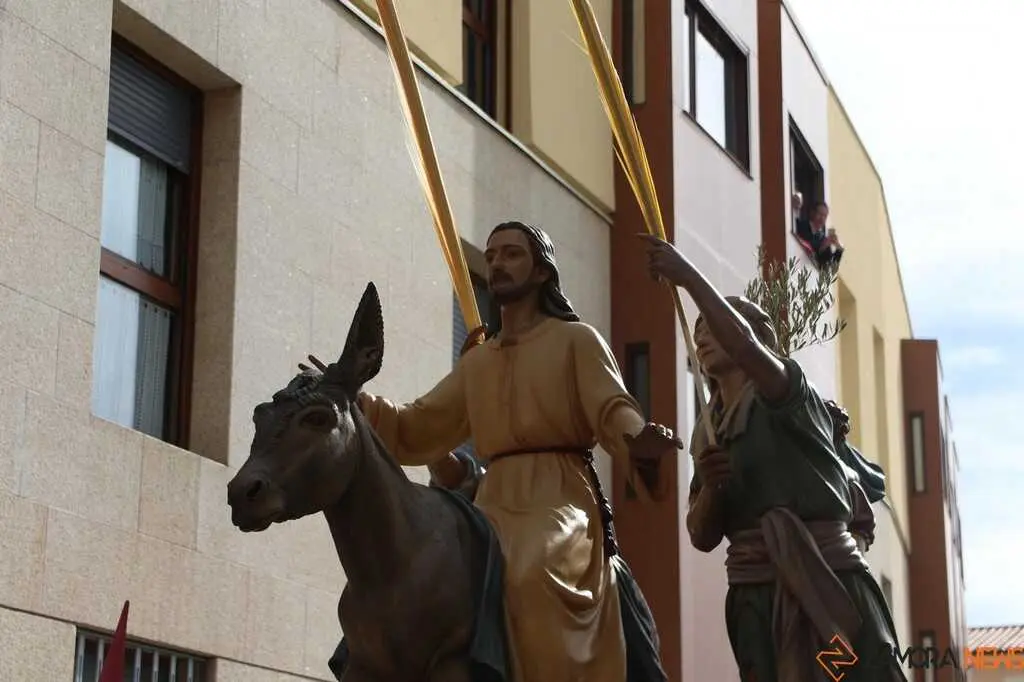 La Borriquita Zamora_36