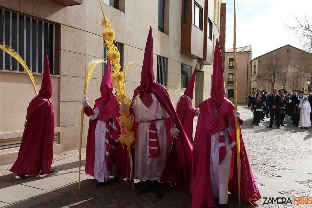 La Borriquita Zamora_37