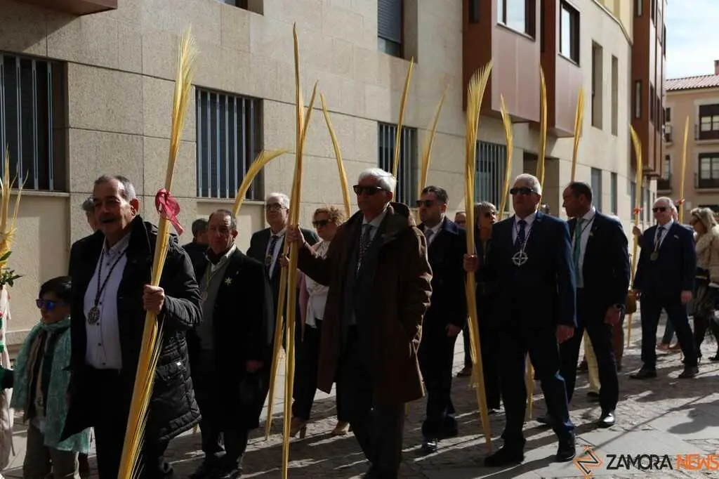 La Borriquita Zamora_39