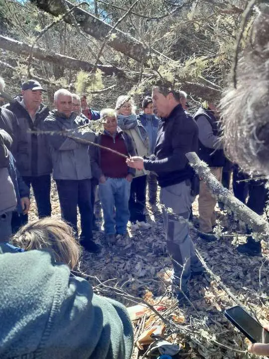 Casta&ntilde;icultura Aliste(2)