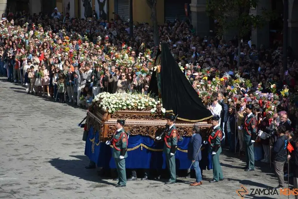 resurrecci&oacute;n 2026_331