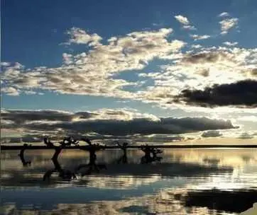 Imagen del cartel de Argusino VIve