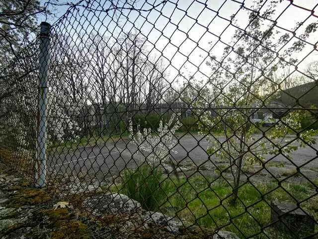 PHOTO-2026-04-04-19-34-13 (2)