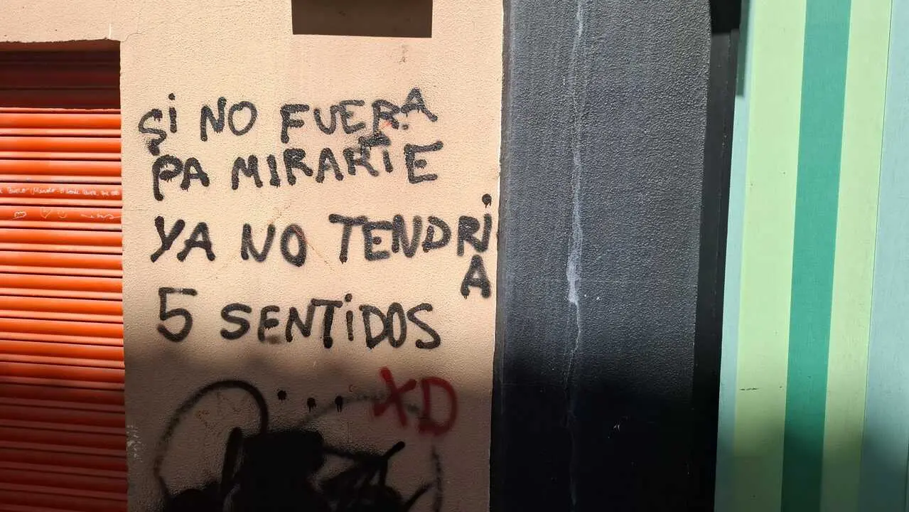 Pintada en Pasaje de Olmedo de Zamora