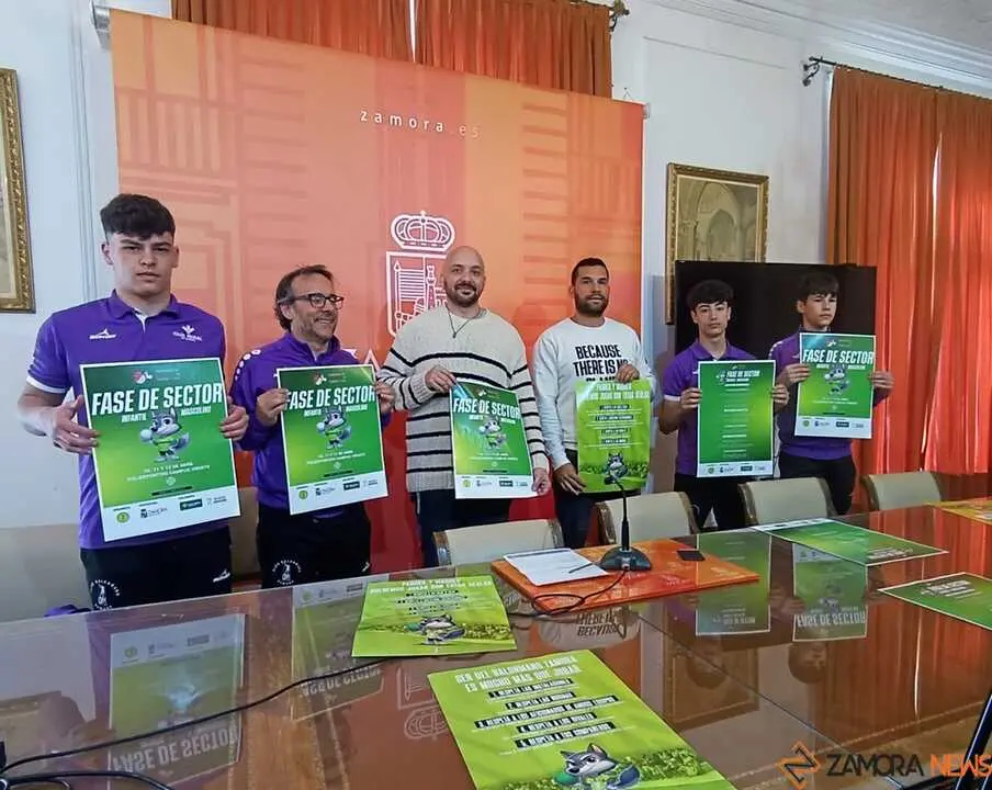 fase del sector balonmano zamora