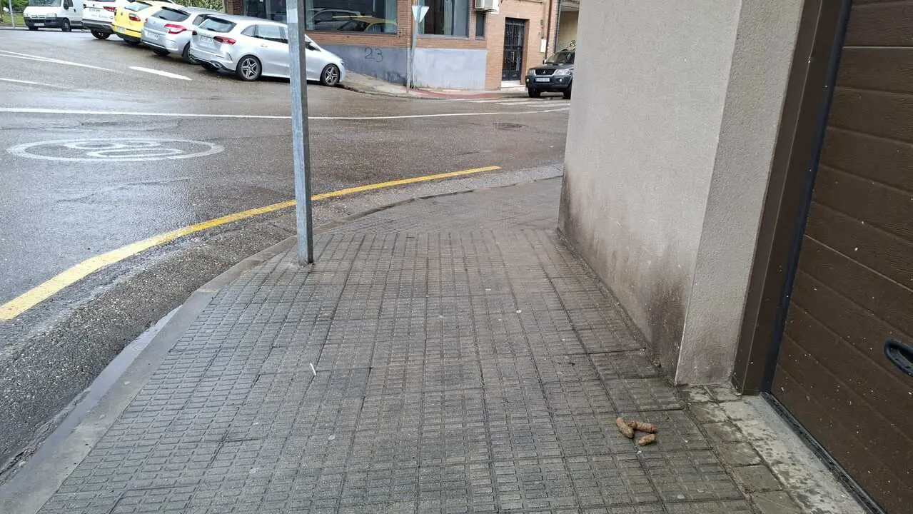 Excrementos de perro a la puerta de una vivienda en el entorno de la Plaza de Cristo Rey